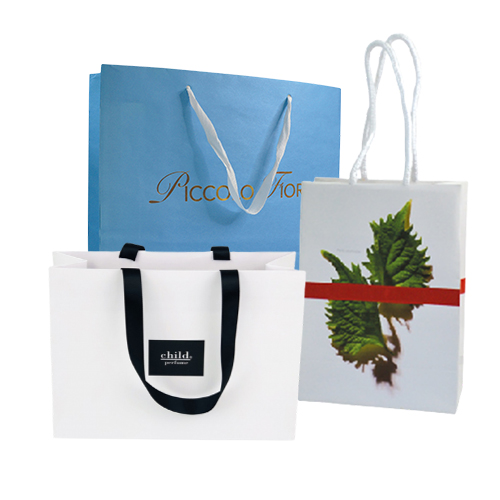 Custom Paper Bag /Shopping Bag